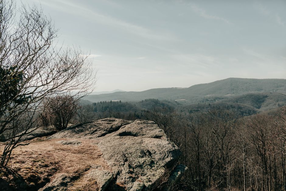 Best Neighborhoods in Asheville, NC 2026
