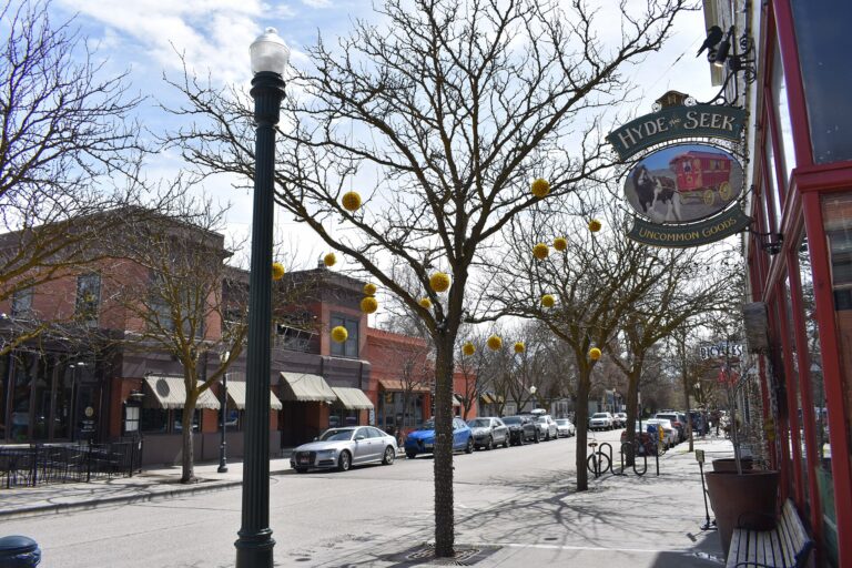 Storefronts and street trees in the Hyde Park Historic District, North End, Boise, Idaho