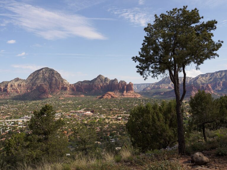 Homes and trees of Sedona, Arizona below red rock formations, looking north from Airport Mesa