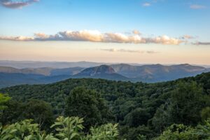 Best Neighborhoods in <a href=