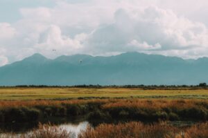 Anchorage, AK in 2026: What It Actually Costs to Live Here