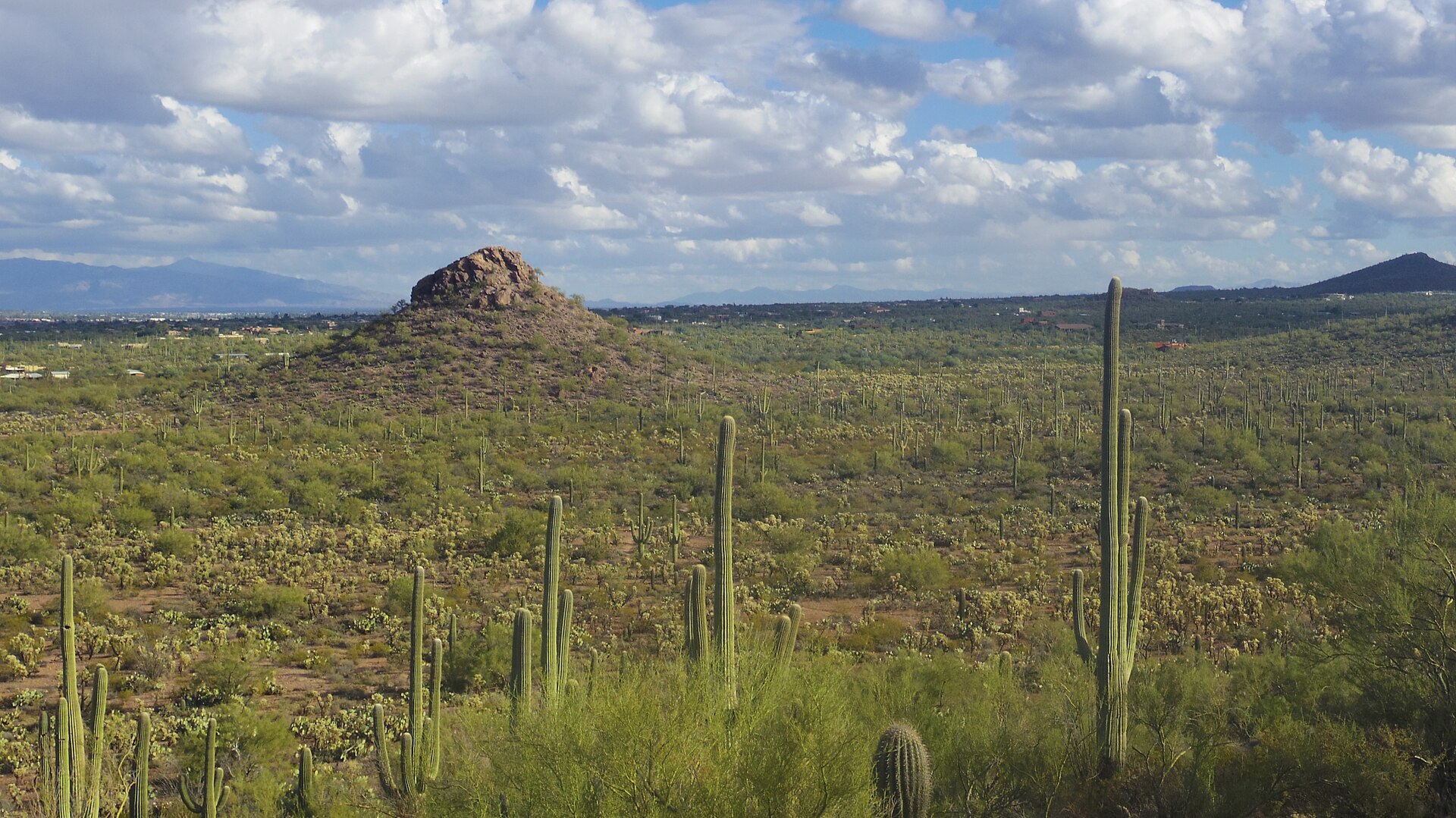 Arizona Cities Compared: Rent, Home Prices and Income