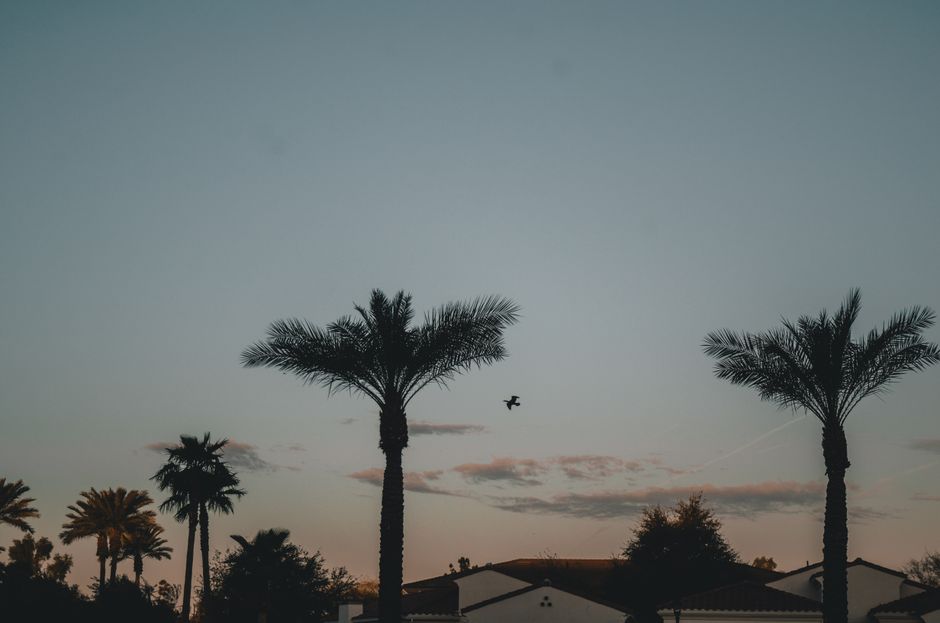 Living in Chandler, AZ: What It Really Costs in 2026