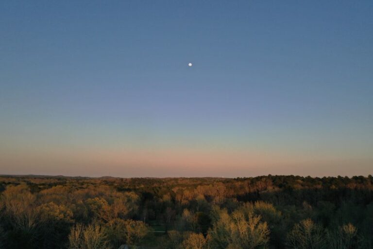 Aerial view of Benton, AR forest with moonrise under a clear blue sky.