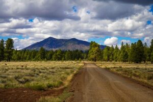 Flagstaff, AZ Cost of Living: What to Expect in 2026