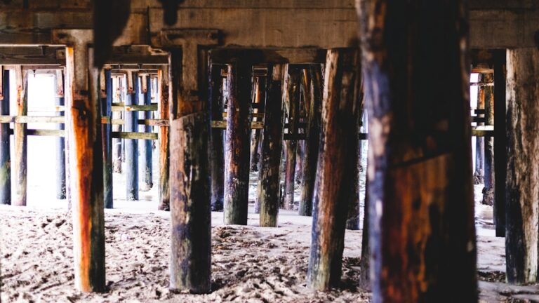 brown wooden posts on white sand during daytime