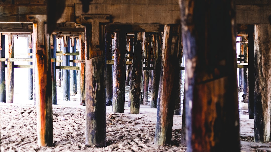 Santa Cruz, CA Cost of Living: A Brutally Honest 2026 Guide