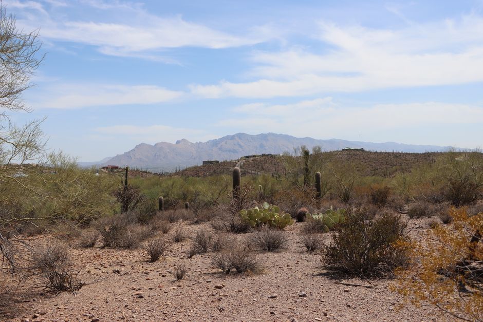 Tucson, AZ Cost of Living: A Realistic 2026 Breakdown