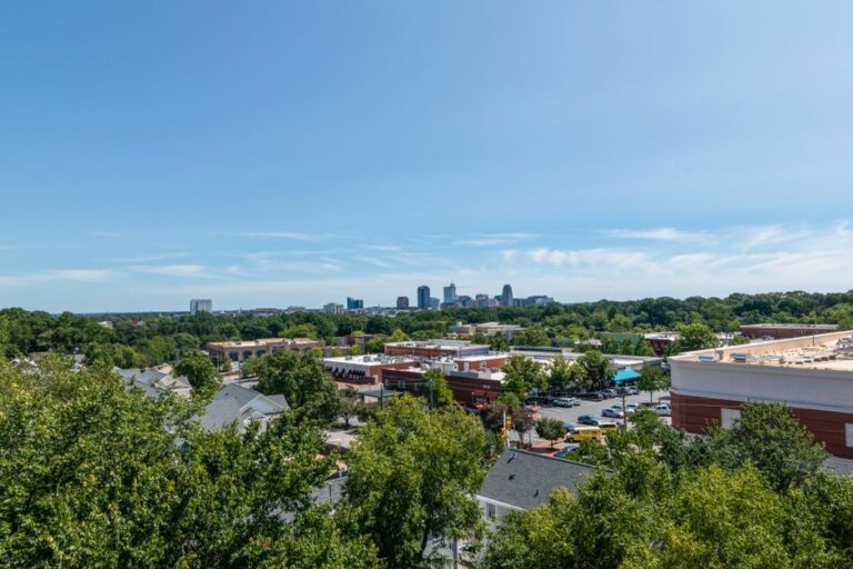 A vibrant view of Raleigh, NC skyline on a sunny day with lush greenery and clear blue sky.